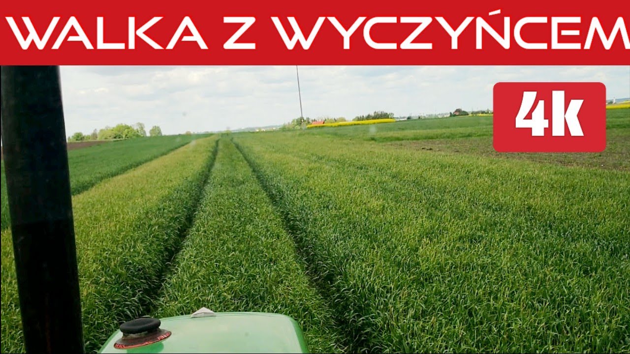 #490 Jest orka i jest wyczyniec?