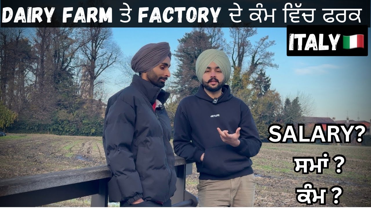 ਇਟਲੀ🇮🇹 DAIRY FARM🐄 ਜਾਂ FACTORY🏭 ਕਿਹੜੇ ਕੰਮ ਵਿੱਚ ਬਣਦੇ ਜ਼ਿਆਦਾ ਪੈਸੇ? / ਕਿਹੜਾ ਕੰਮ ਸੌਖਾ? ਸਾਰੀ ਜਾਣਕਾਰੀ 🇮🇹