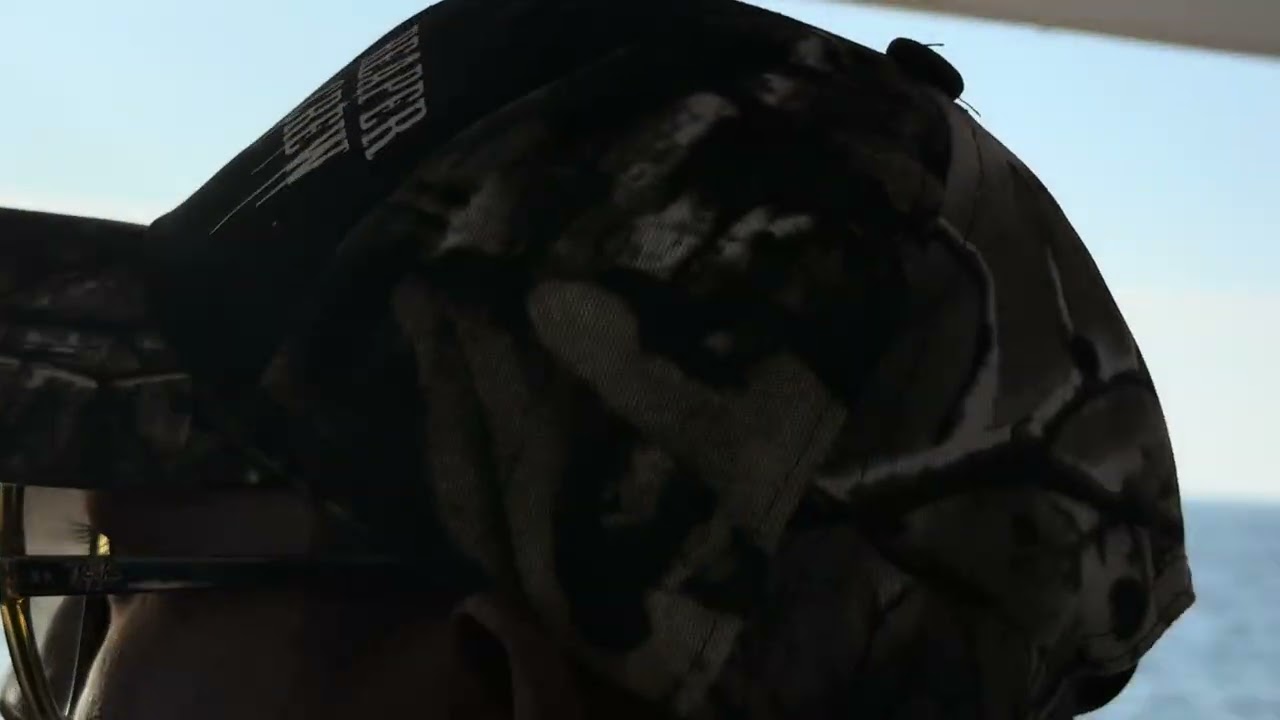 Day 13: Whale sighting and Turtles