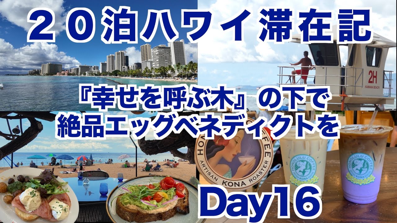 2025年10月20泊【Day16】《カイマナビーチ「Hau Tree」でブランチしたらビーチ沿いをワイキキへ「Honolulu Coffee 」でひと休み》