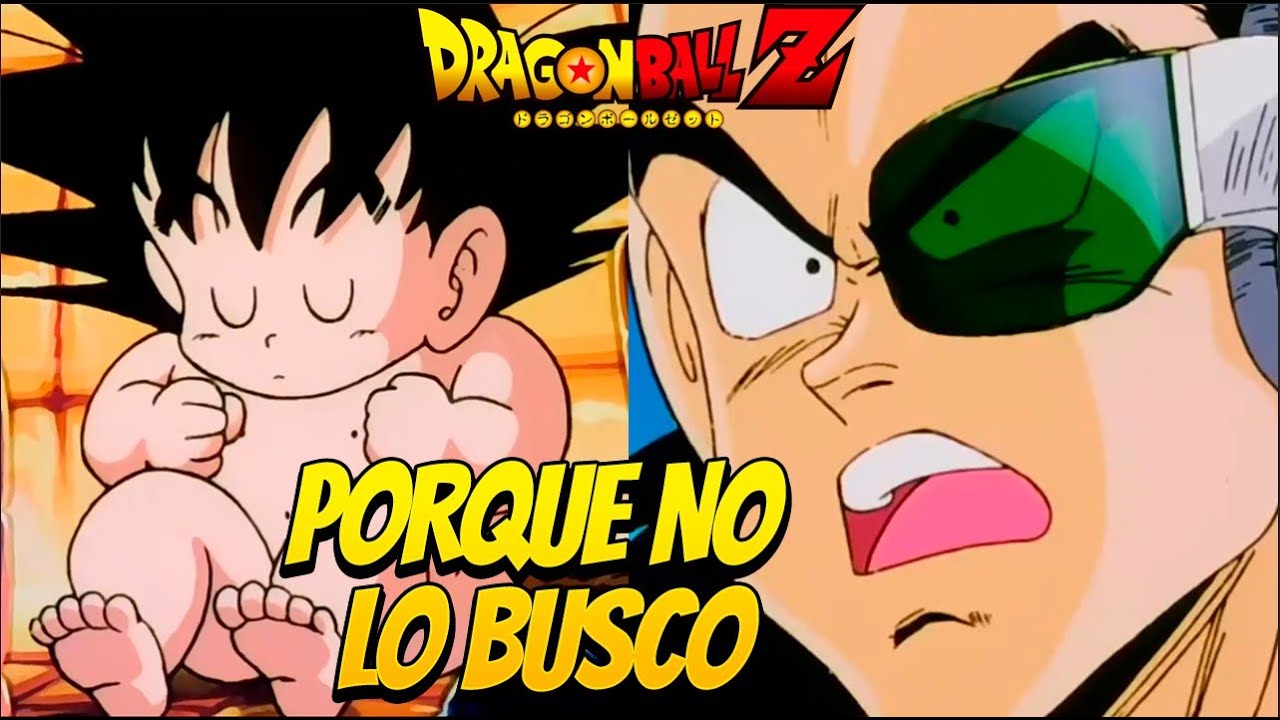 Porque RADITZ no BUSCO a Goku mucho antes
