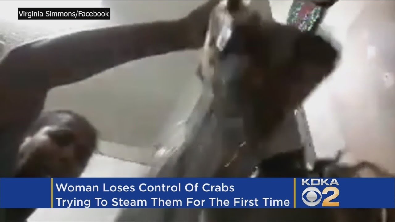 Left In A Pinch: Woman&rsquo;s 1st Attempt At Steaming Crabs Goes Horribly Wrong