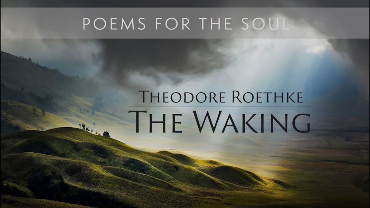 Theodore Roethke - The Waking
