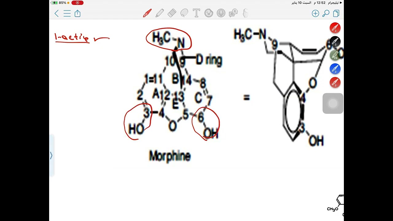 عضويه كورس اول analgesic 