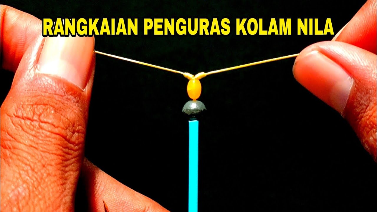 Terbongkar cara merangkai pancing ikan nila umpan lumut agar lebih ampuh | 4 mata kail