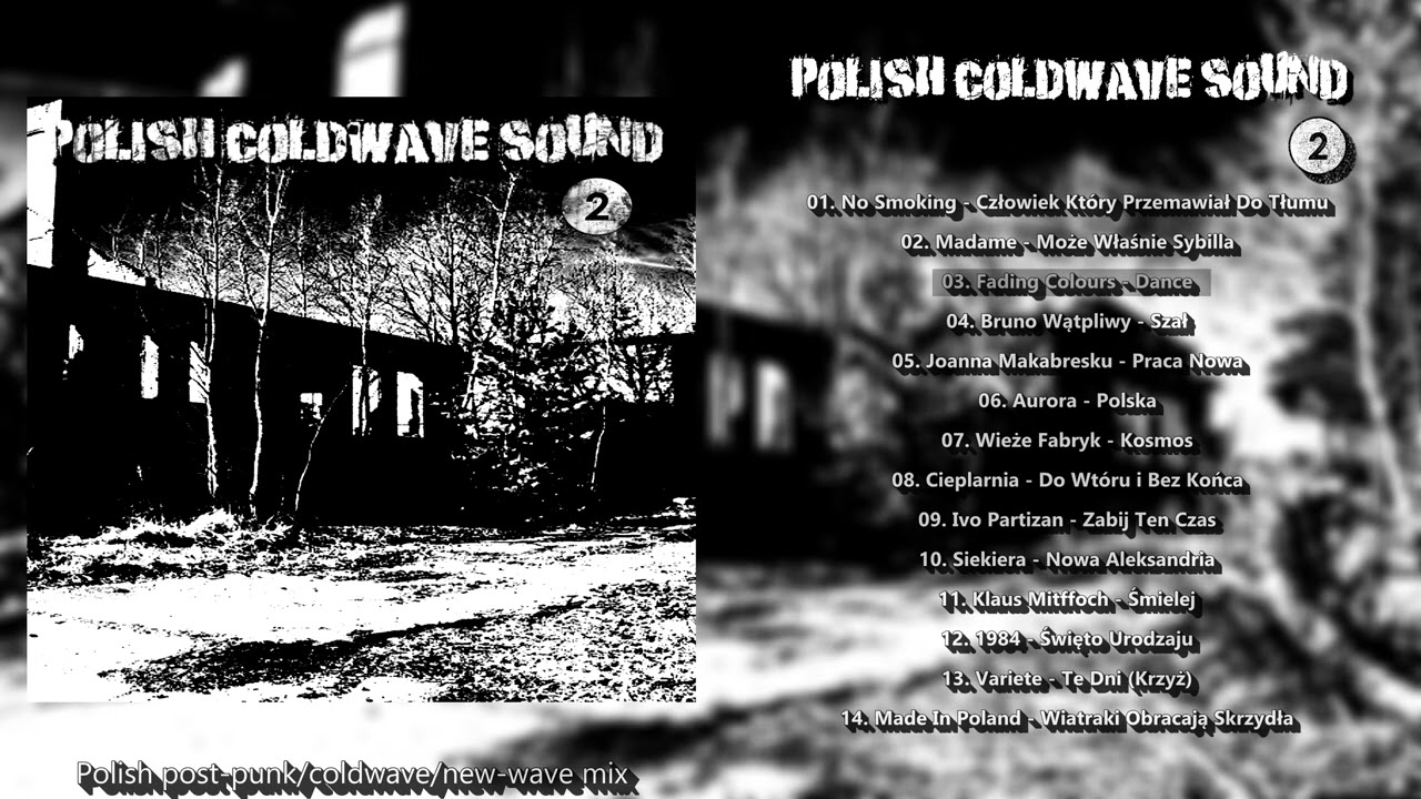 POLISH COLDWAVE SOUND Vol .2