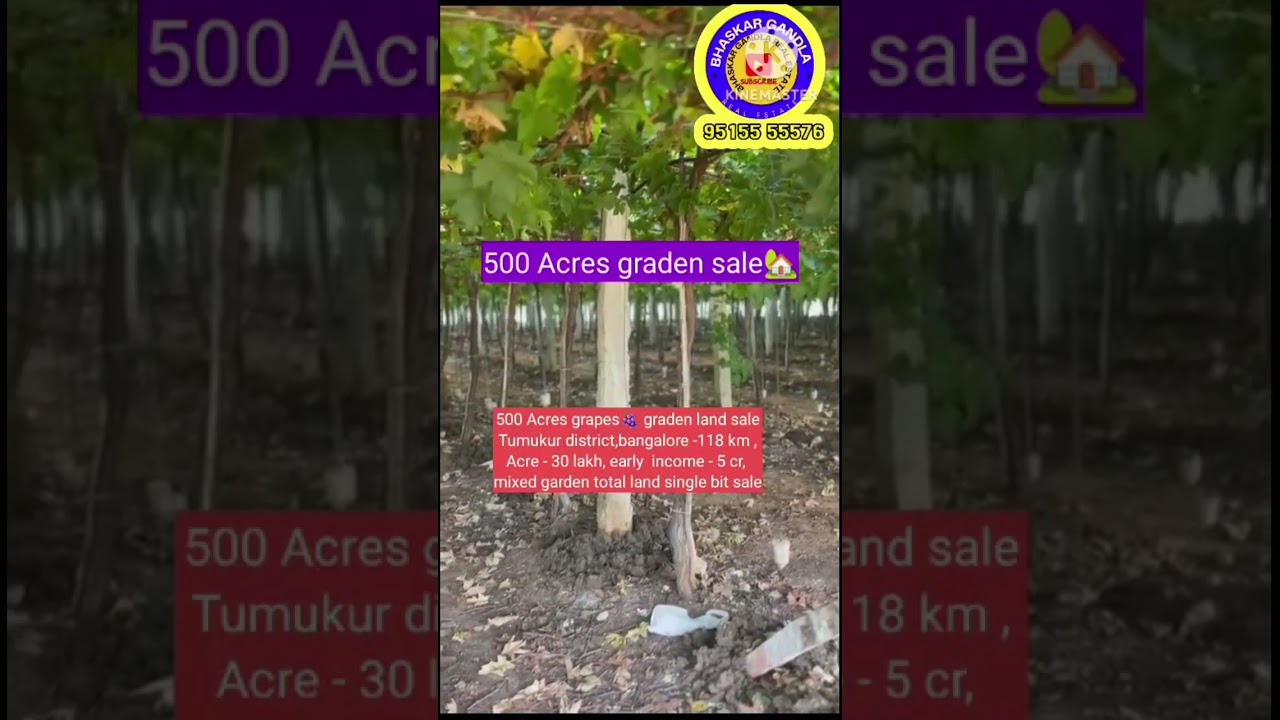 500 Acres Farmhouse land sale Tumukur Bangalore- 118km only monthly income 5cr single bit