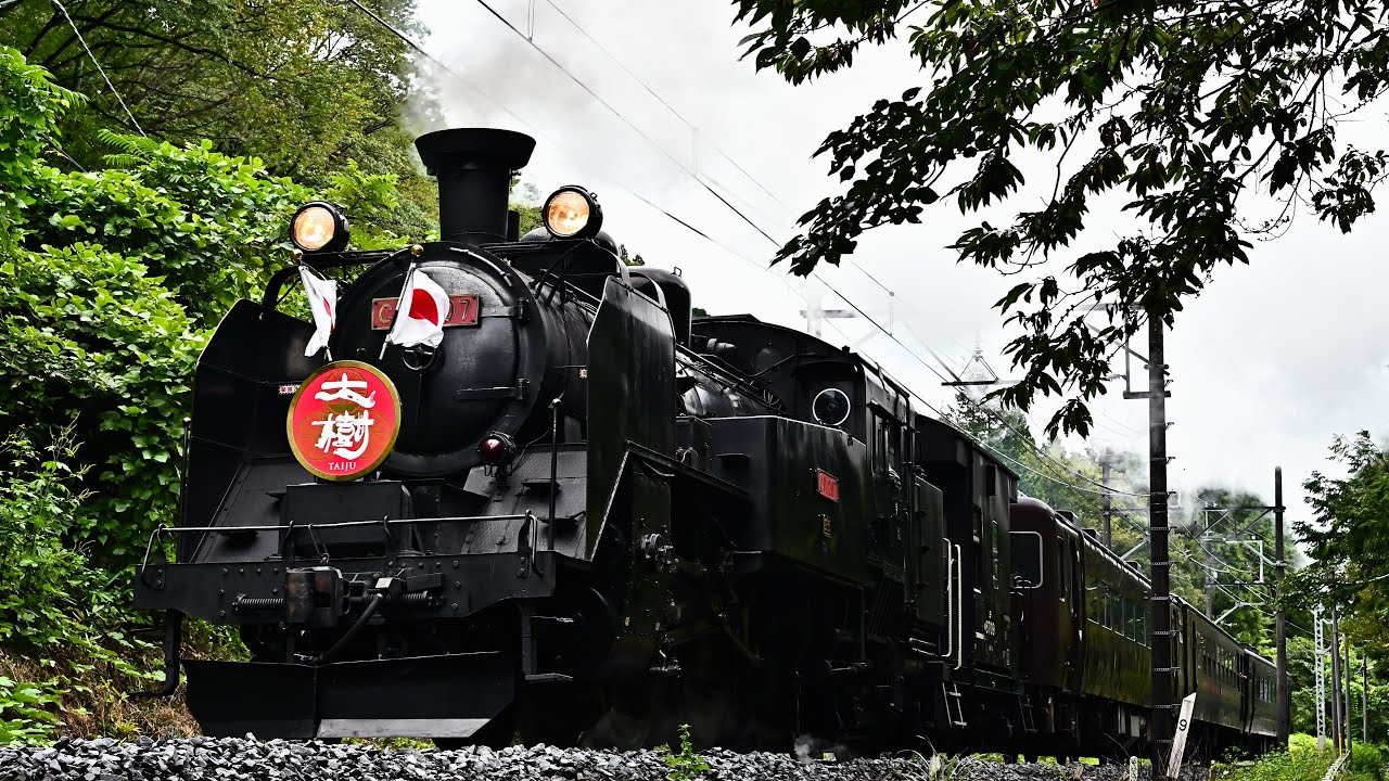【C11 207】SL大樹2023年晩夏～仲秋【C11 325】C11 207赤ナンバープレート 4K Tobu Line SL Taiju JNR Class C11