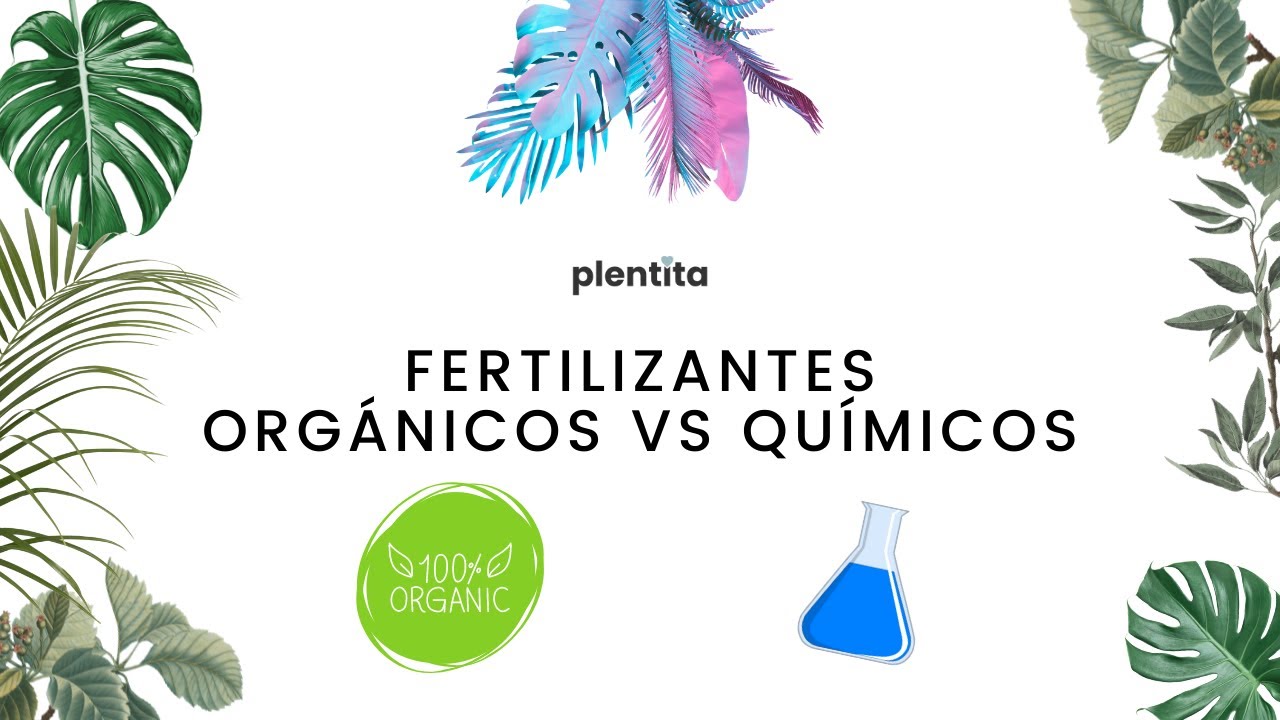 Fertilizantes org&aacute;nicos VS qu&iacute;micos | Diferencias