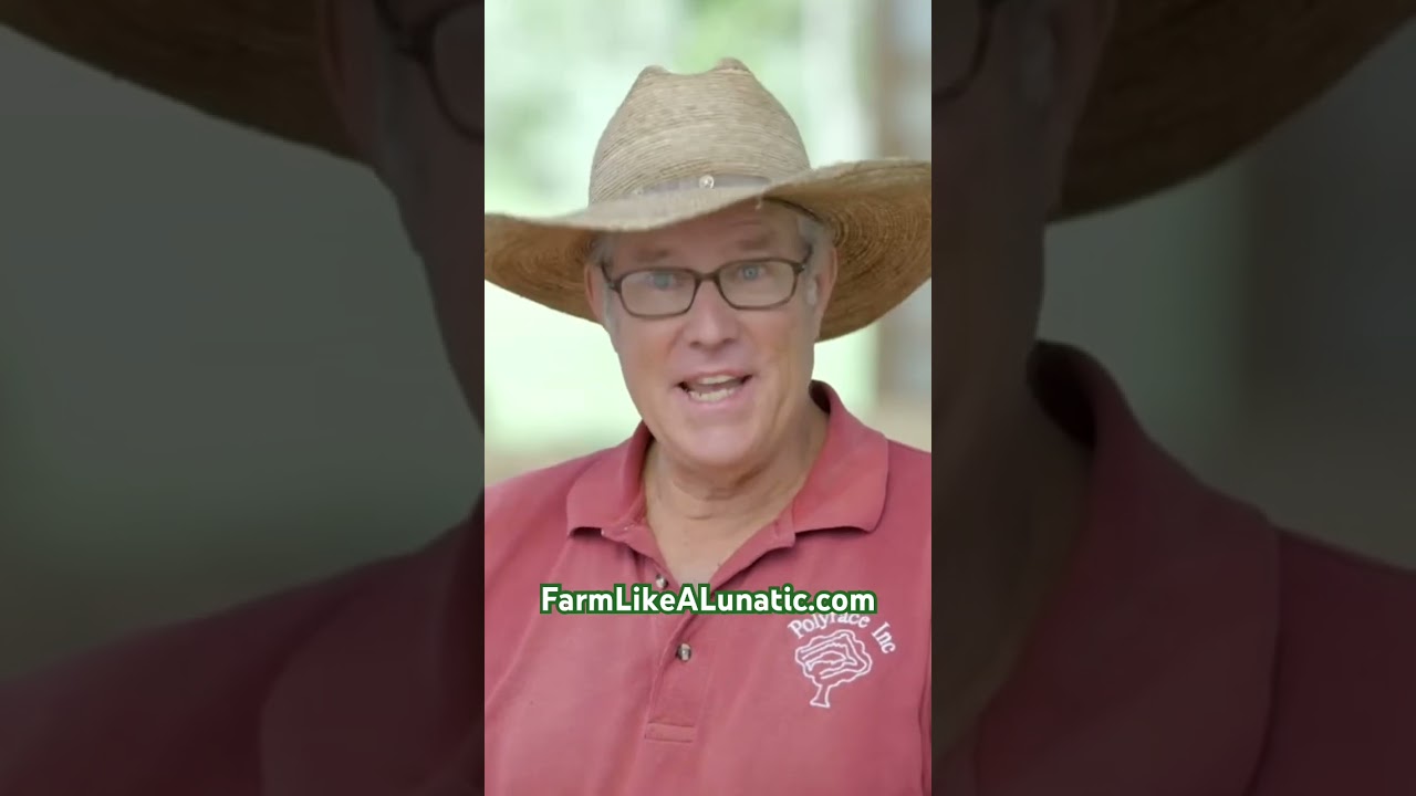 Raising Dual Purpose Chickens for Meat | Joel Salatin #farming #pasturedpoultry #chicken #regenag
