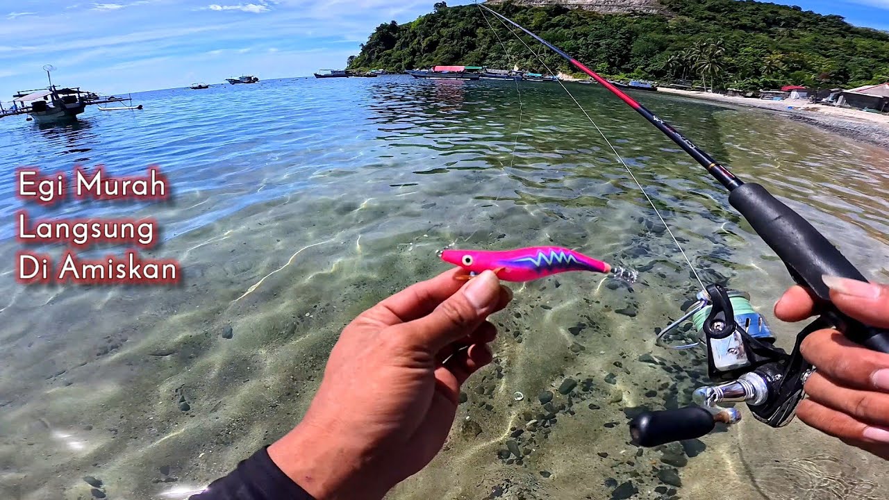 EGI MURAH.. Langsung di amiskan di spot cumi || Mancing cumi di pinggiran pantai terbaru 