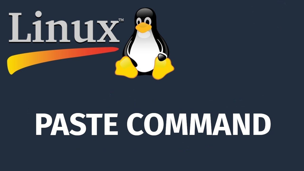 Linux Paste Command (paste komutunun) Kullanımı ve Özellikleri