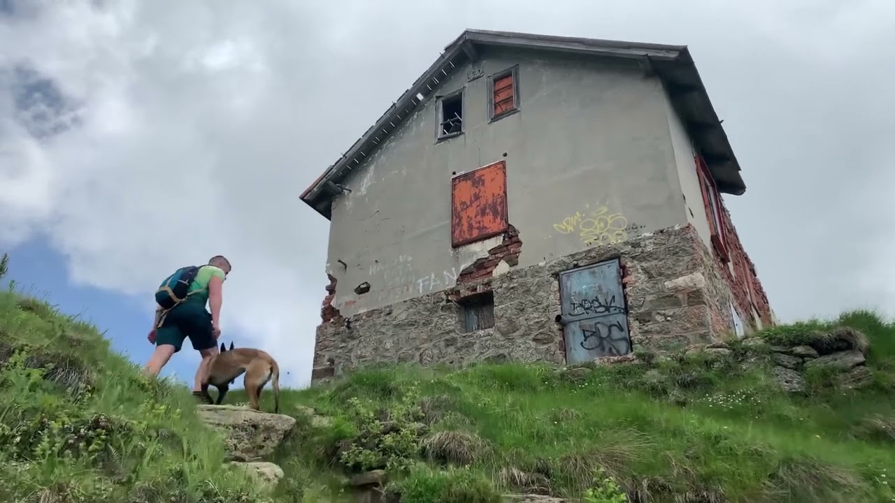 În căutarea Rhododendronului- traseu Jepii Mari-Piatra Arsă-Cota 2000