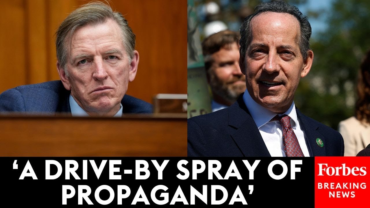 Jamie Raskin Flames Paul Gosar Over Remarks To The FDA Commissioner During A House Oversight Hearing