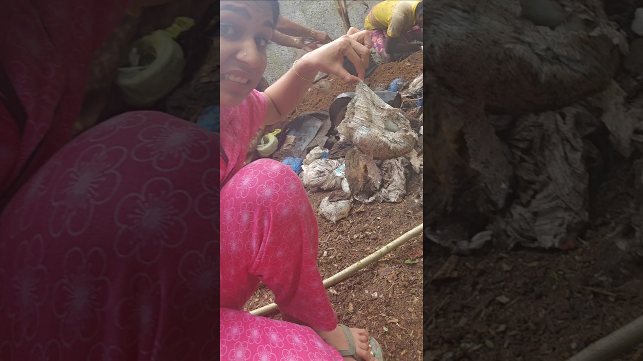 അറിവില്ലായ്മ വരുത്തി വച്ച വിന🤢🤮ആരും ഇങ്ങനെ ചെയ്യരുത് 