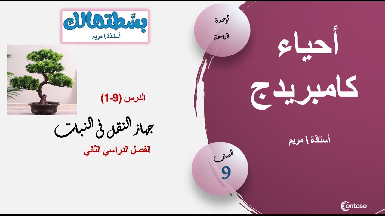 ( 1-9) جهاز النقل فى النبات- أحياء كامبريدج تاسع - ف2
