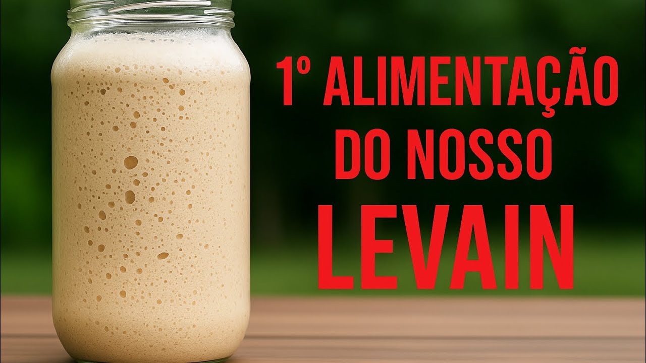 FERMENTO NATURAL/LEVAIN criação do zero absoluto #receitas #paes #fermentacaonatural #levain #dicas