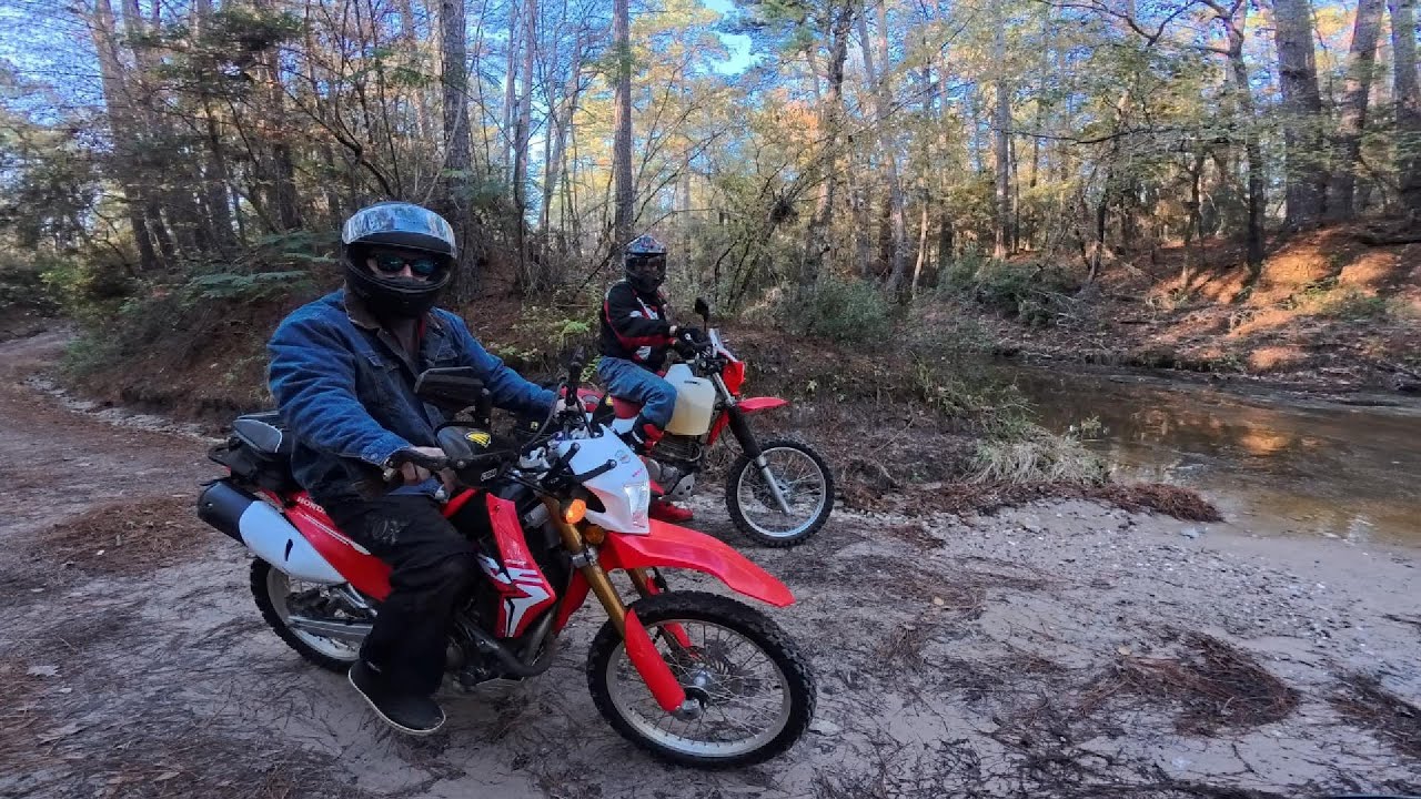 Perfect Weather, Perfect Ride: CRF450X • XR650R • CRF250L Tear Up the Backroads!
