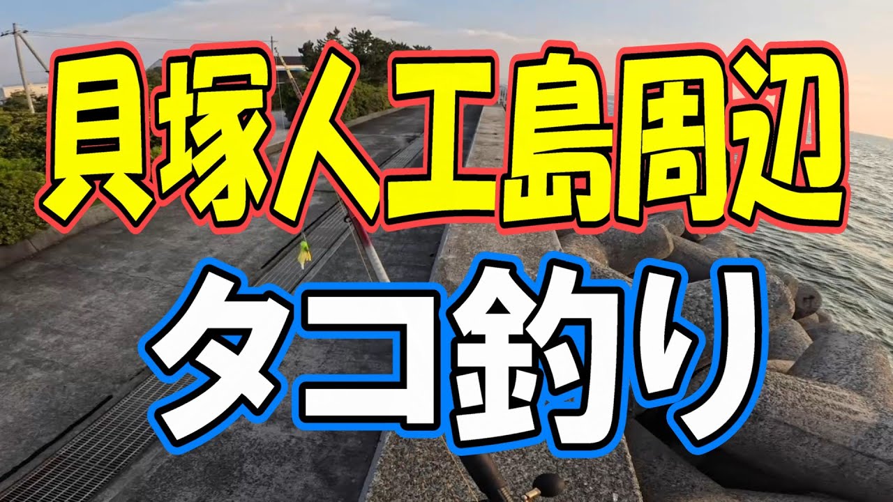 【貝塚人工島 タコ釣り】で悲劇の連鎖・・