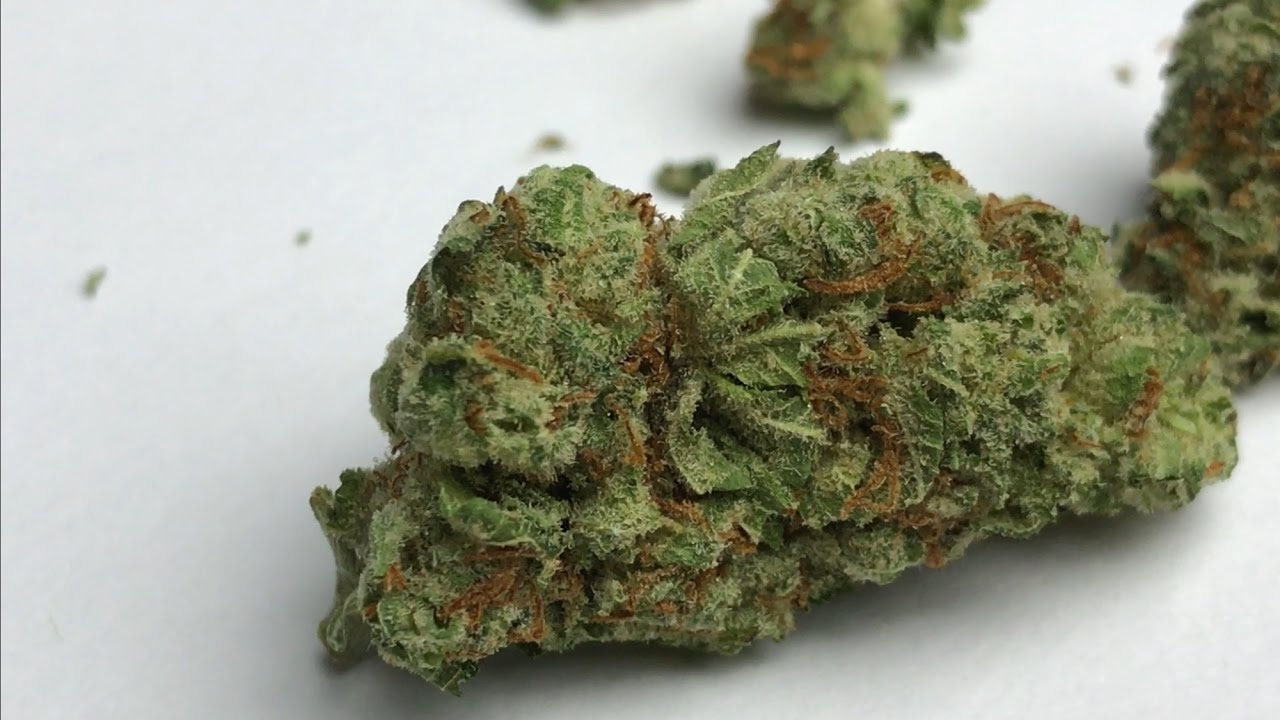 Jedi Kush Strain Review and Smoke sesh!!