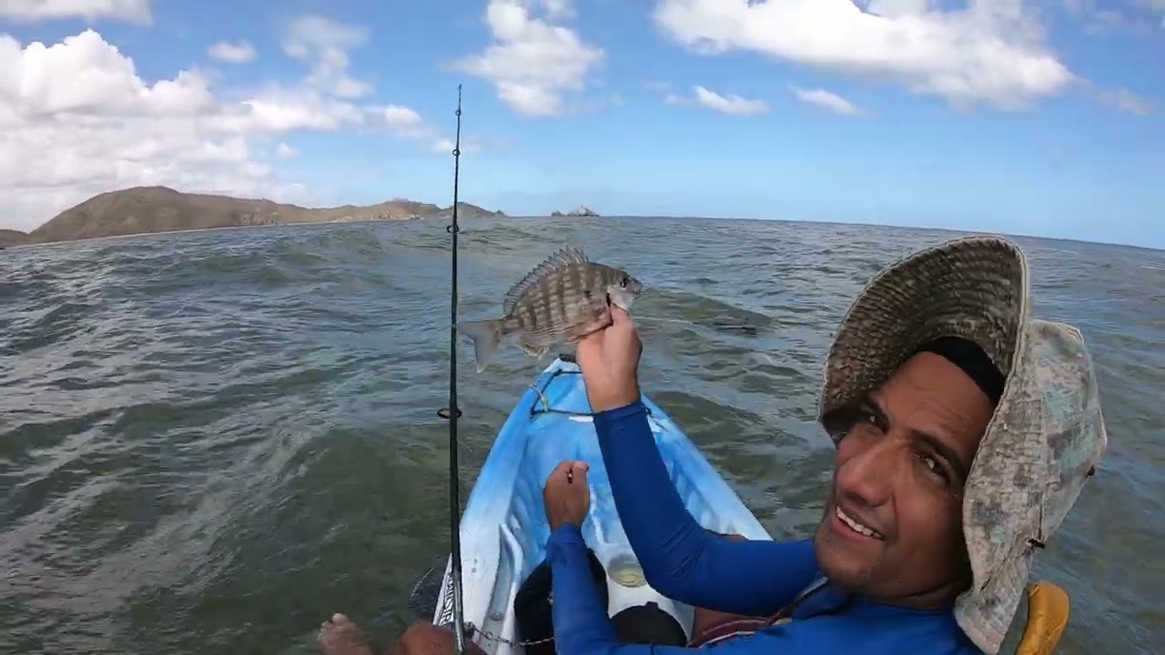 Mucha Pesca Corocoro Cagalona En Playa Patilla