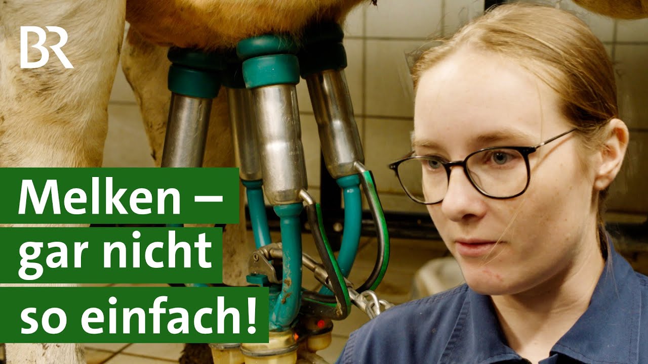 Kühe melken beim Melkkurs: Euter und Milch gesund, Melkmaschine, keine Mastitis! | Unser Land | BR