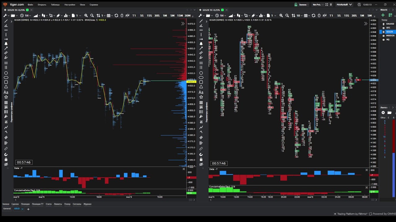 Tiger Trade Rithmic