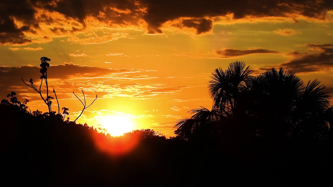 AMANHECER, AMANHECENDO NA ROÇA Ao Sons de pássaros, Cores da natureza, Simplicidade caipira