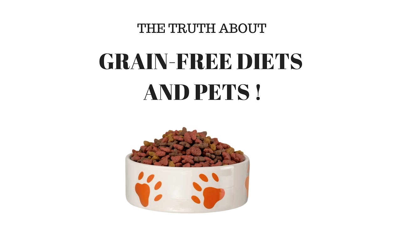 Pet Food Review: Grain Free Diets For Dogs And Cats