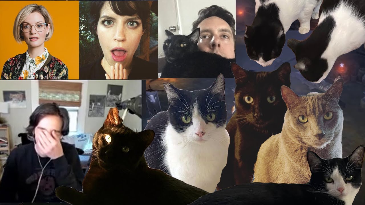 Cat Chat & Diablo :3! (ft. Murph, Emily, Siobhan) - Zac Oyama Stream Clips