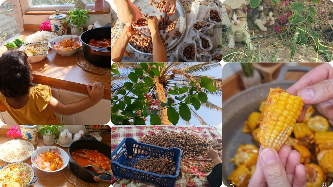 حاليا بيتنا  نضفو التمر وجبسو لان راح تمطر 😅يوميات بيتنا 🏡🌱🐓 ملامح الشتاء بينت🥹
