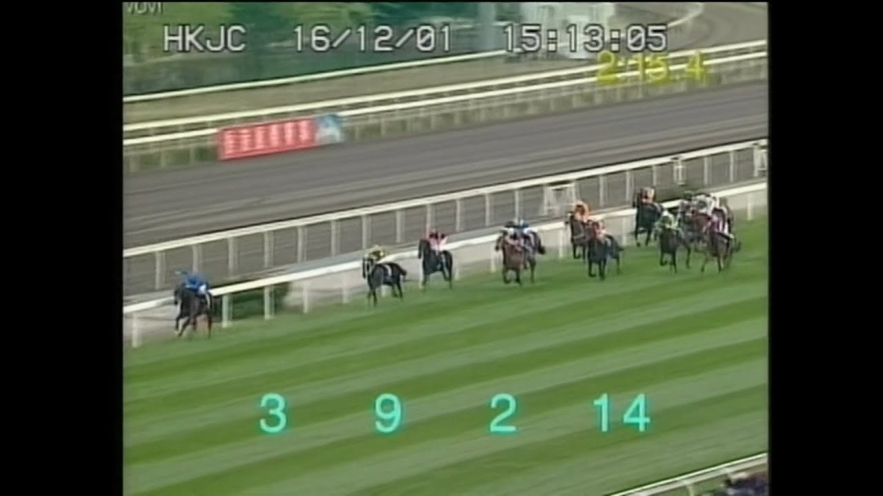2001年 香港ヴァーズ ステイゴールド HD