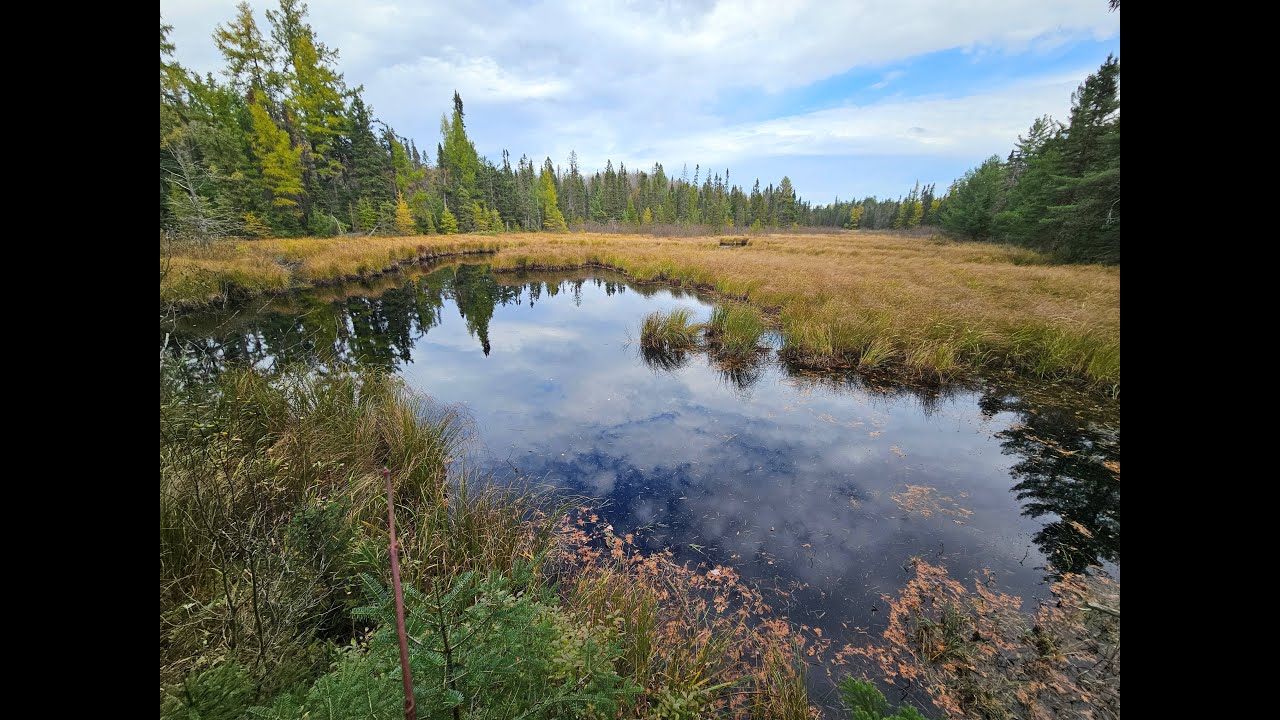 NCT Hike to the Manger-Lynch Shelter 