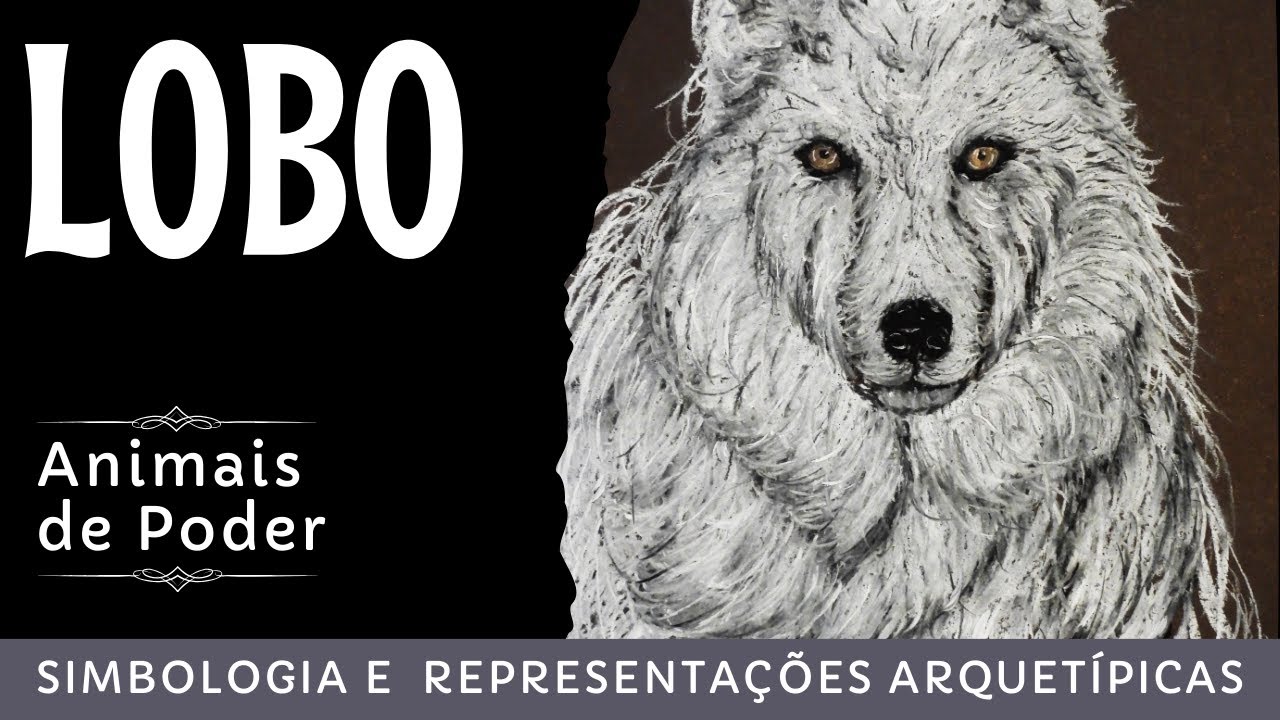 O lobo como animal de poder -  representações arquetípicas e simbologia