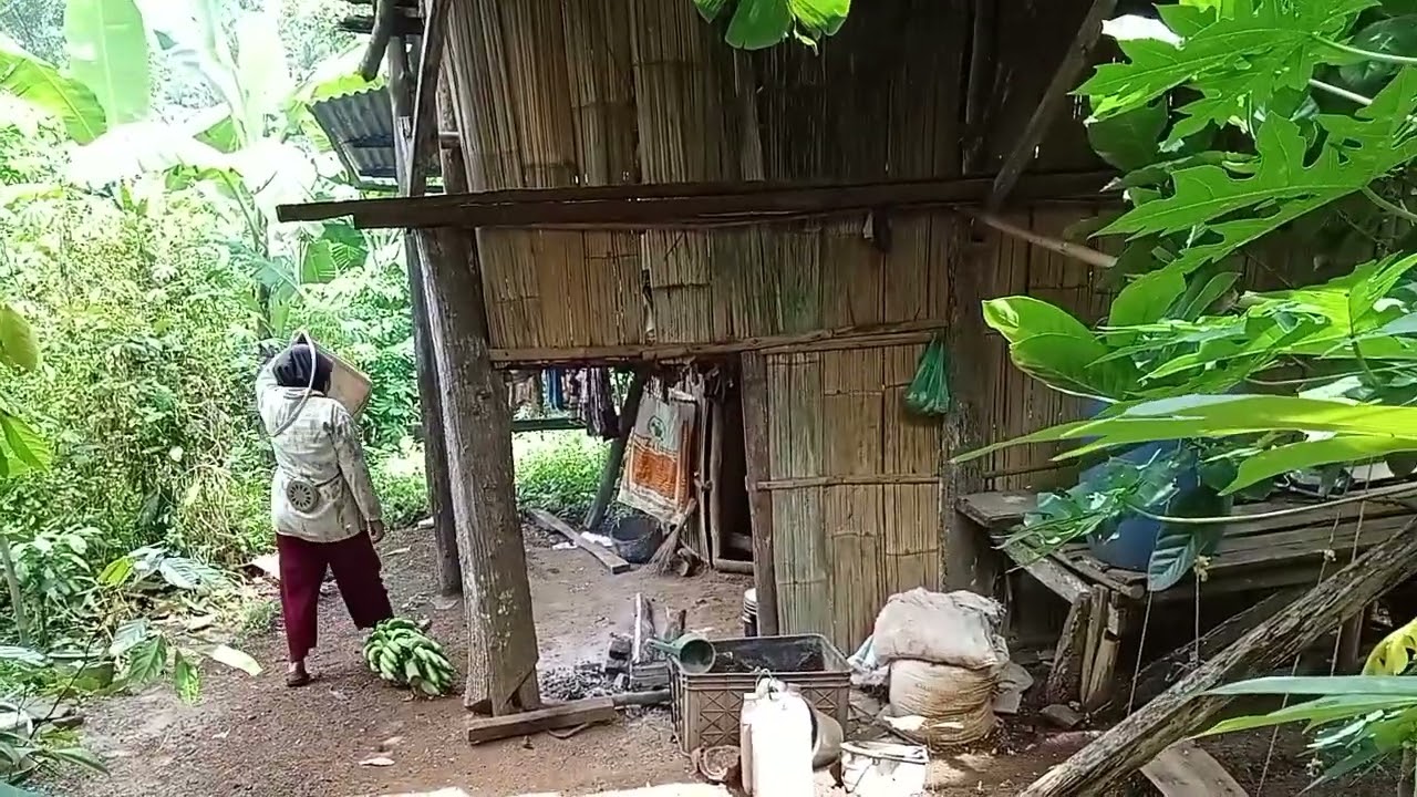 Inilah pekerjaan orang kampung yang membuat sukses