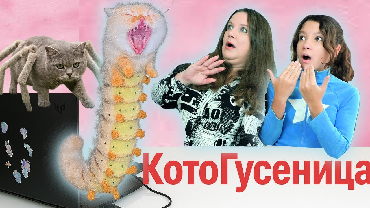 КТО ТАКАЯ КОТОГУСЕНИЦА ?