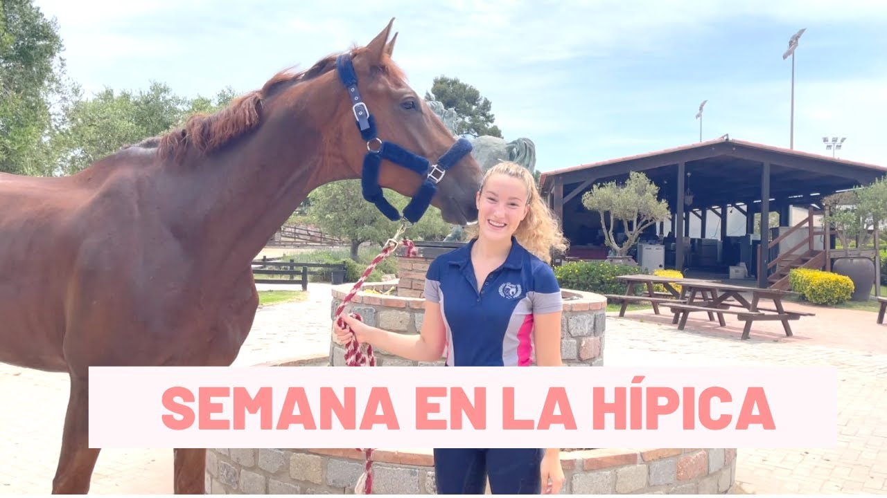Una semana en la hípica / Rutina de entrenamiento