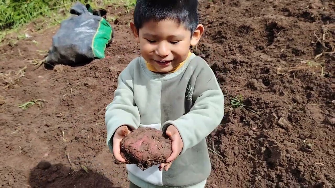 Las aventuras de Ponchi en Pampamarca Andahuaylas parte 2