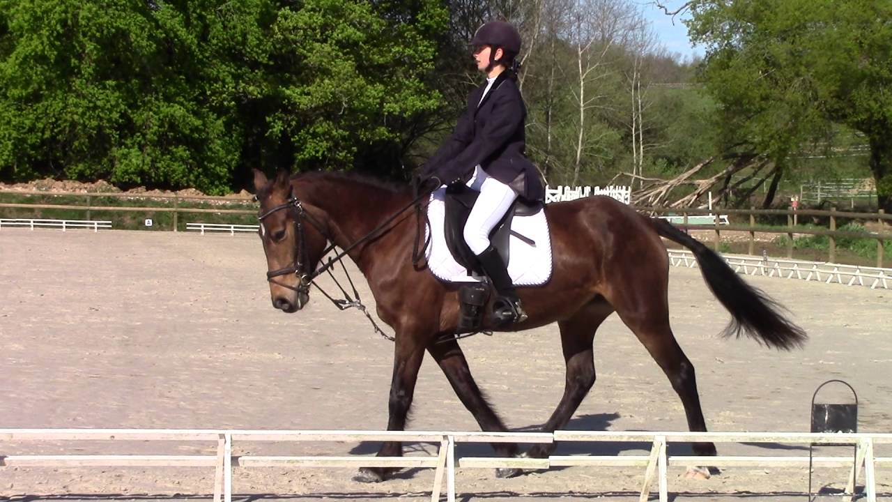 Vivie & Alex Dressage 69% poney 2 grand prix La Sauve Majeure 10/04/2016