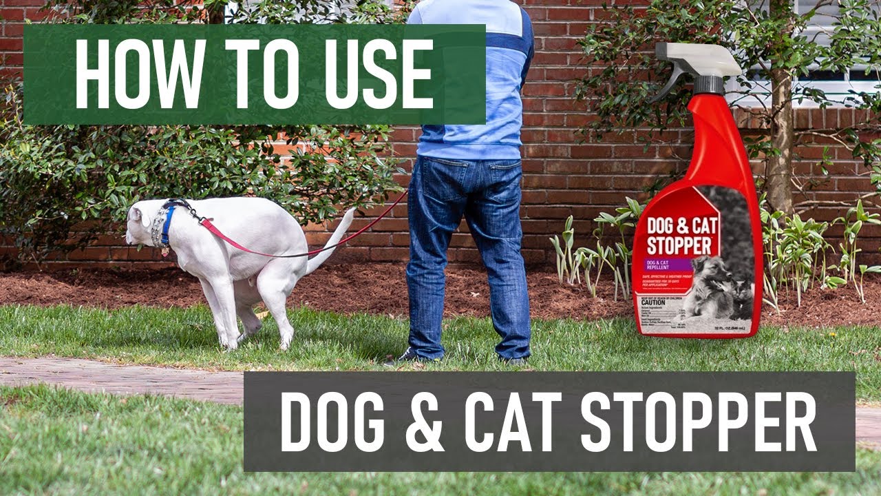 How to Use Dog & Cat Stopper RTU Spray Repellent [DIY Animal Control]