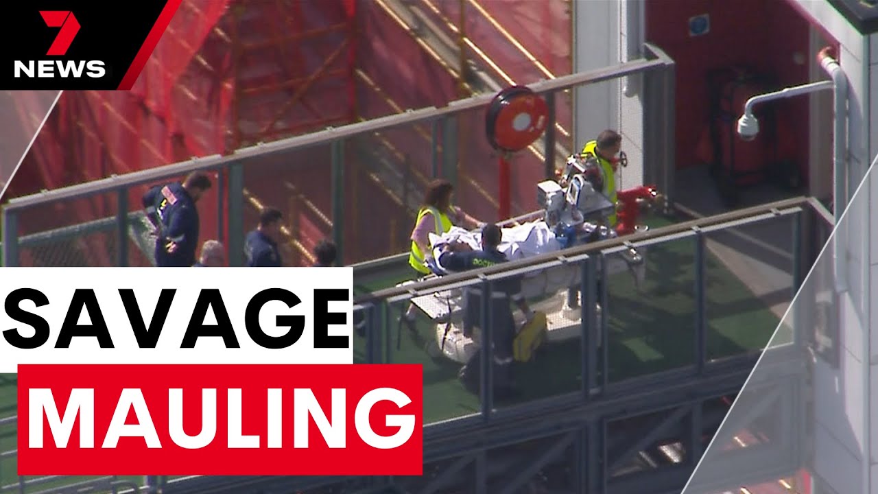 Queensland woman mauled by lion | 7NEWS