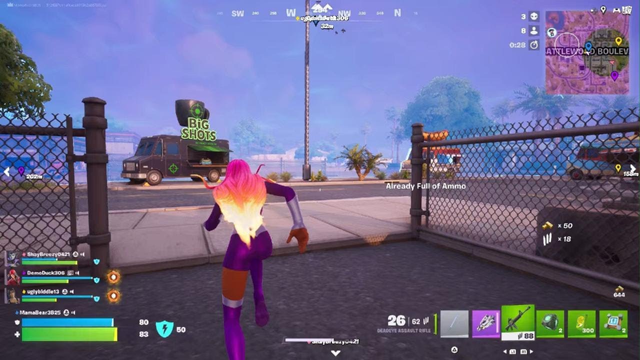 Fortnite Pink & Purple On Fire!!