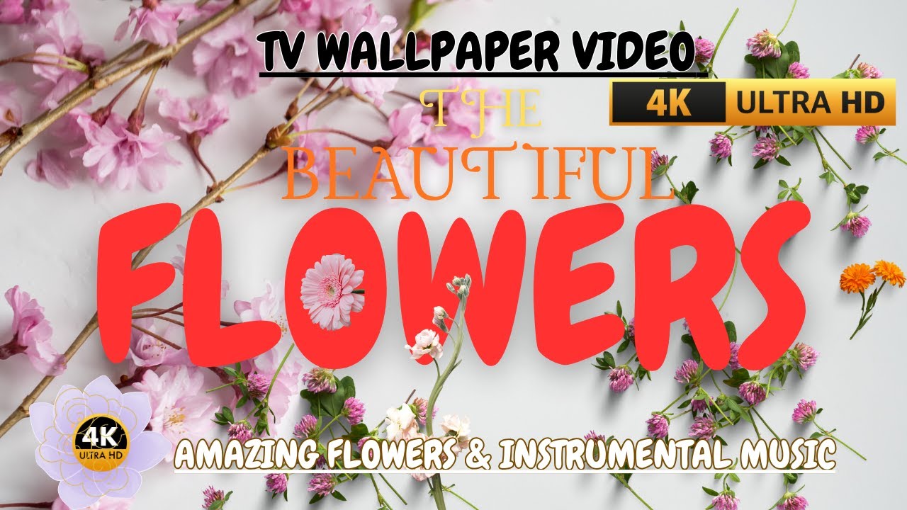 TV WALLPAPER FLOWERS VIDEO I 4K BEAUTIFULL FLOWERS VIEW WITH INSTRUMENTAL MUSIC I 