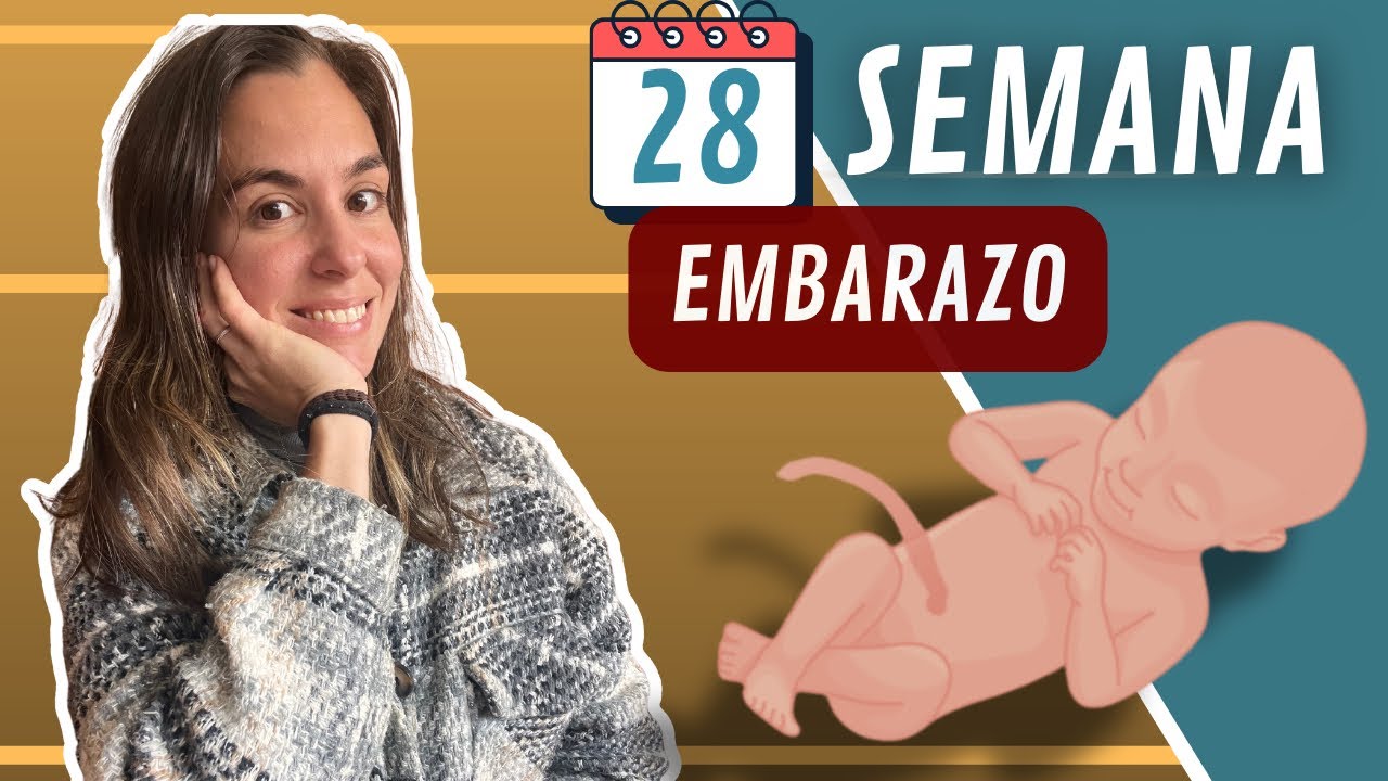 Semana 28 de embarazo: desarrollo del bebé, cambios físicos, emociones y meditación 