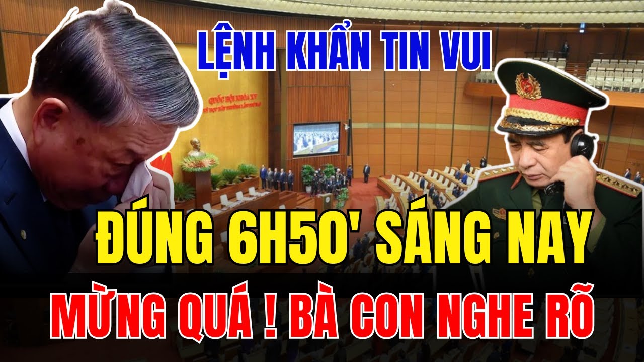 Tin tức việt nam thời sự mới nhất ngày 3/2/2026 ✈ Tin Nóng Chính Trị Việt Nam và Thế Giới