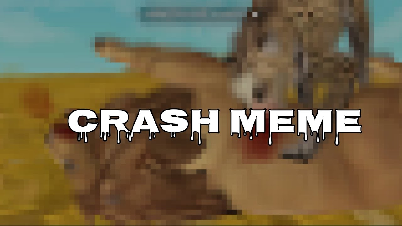 Crash | Мем Wildcraft | Описание