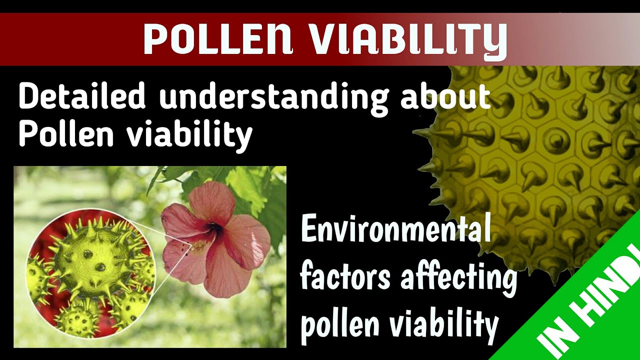 POLLEN VIABILITY & Factors affecting pollen viability. Palynology.  BotanyTv