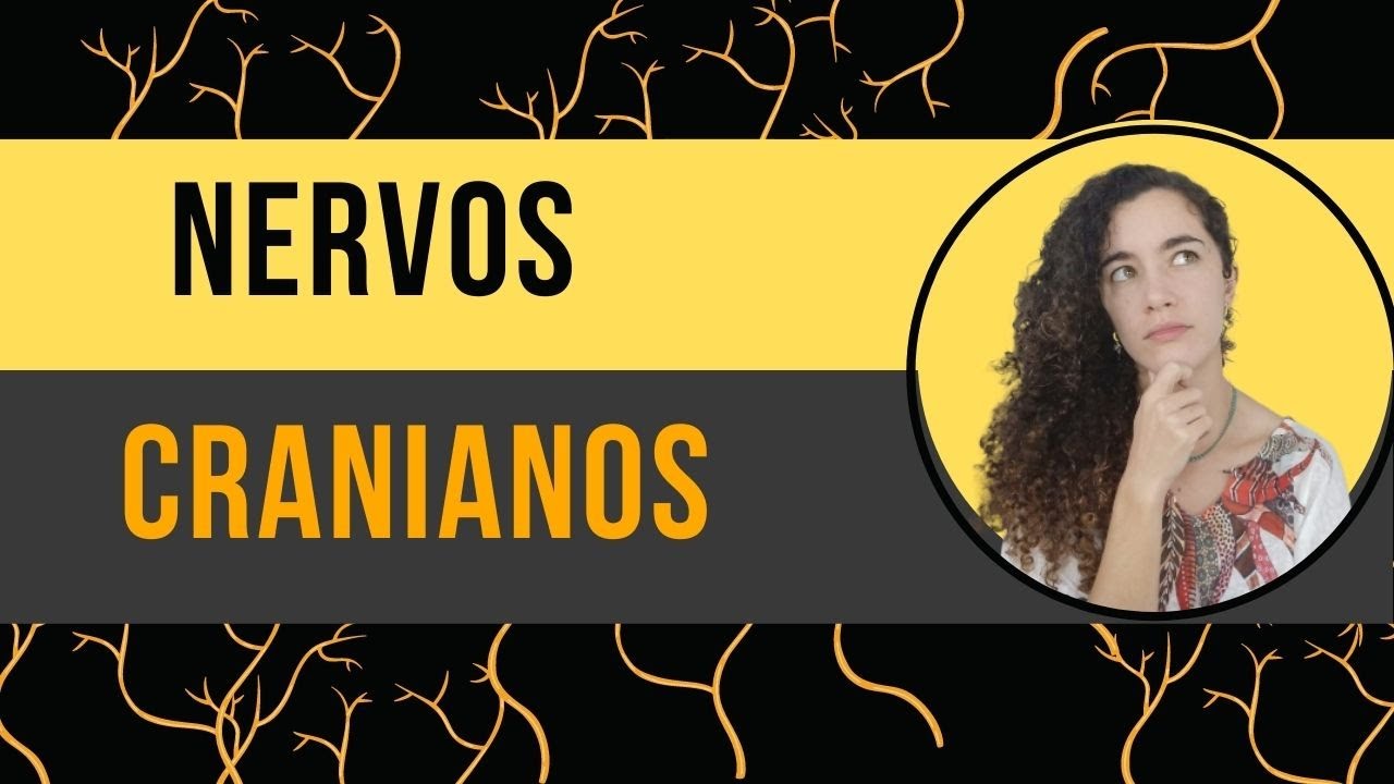 Quais são os Nervos Cranianos?