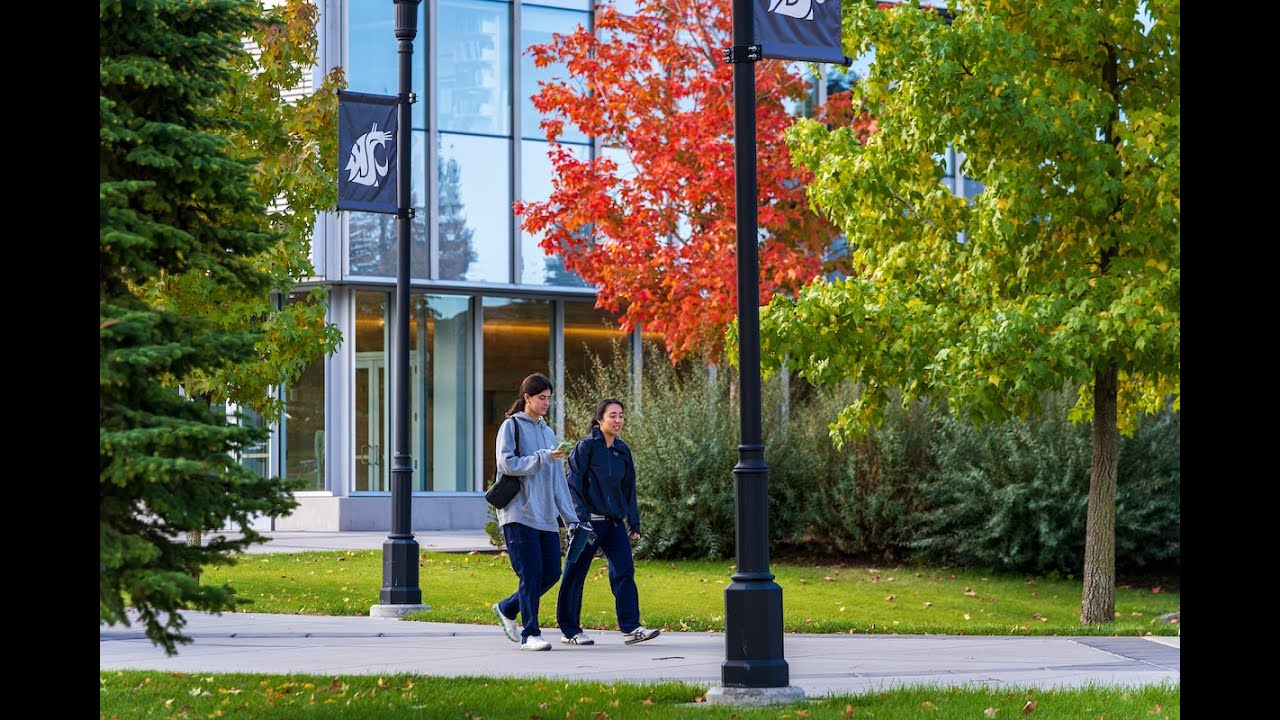 Почему WSU Spokane: студенты рассказывают о своем пути к #WSUSpokane
