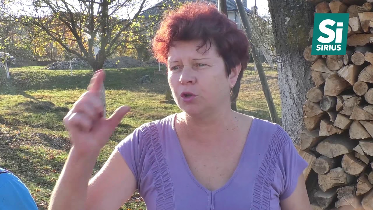 Новенький асфальт можна підняти з дороги, наче…килим